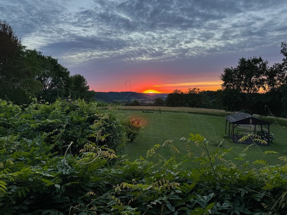 Brume matinale sur la prairie