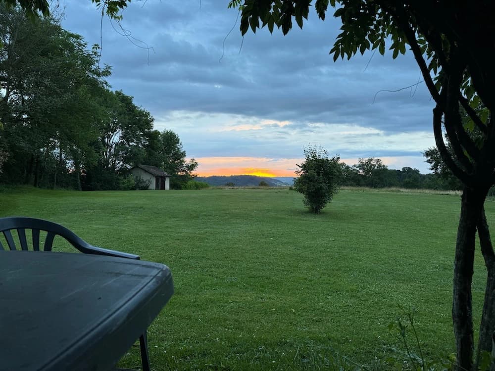 Coucher de soleil rose derrière le feuillage